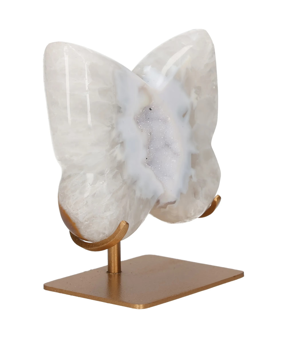 orbitvu|type:image2d