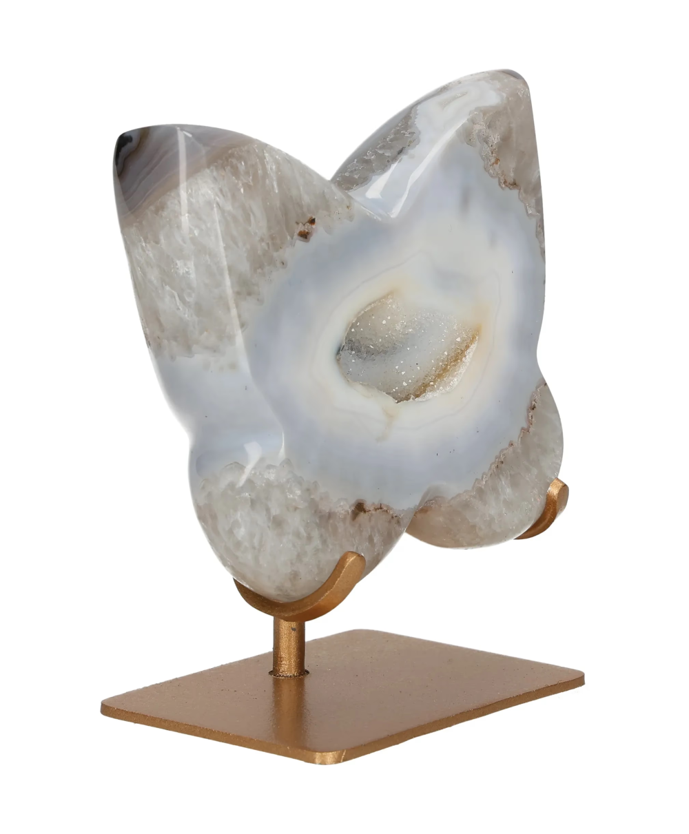 orbitvu|type:image2d