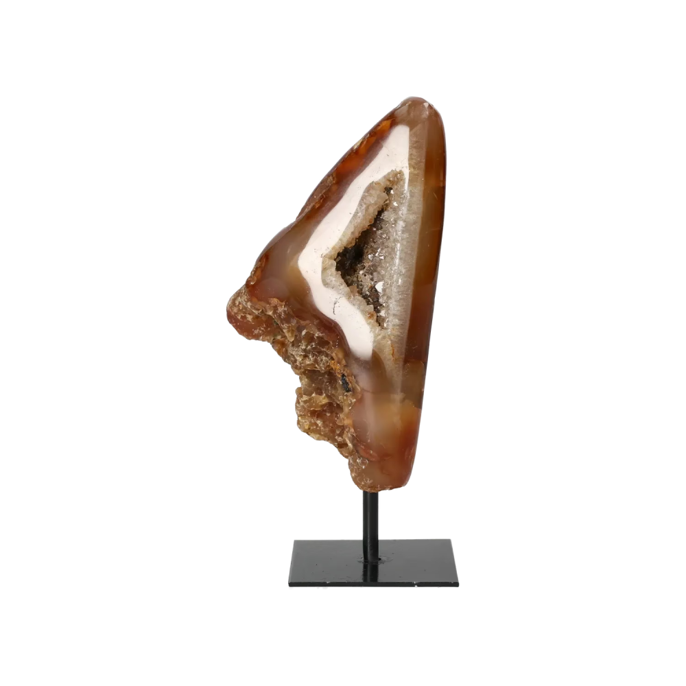 orbitvu|type:image2d