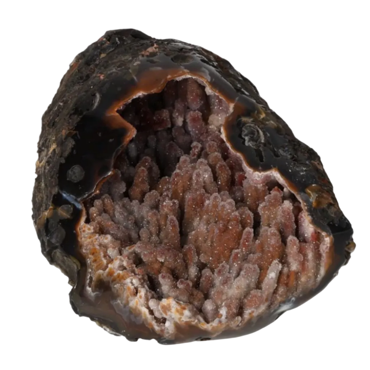 orbitvu|type:ORBITVU 360|https://orbitvu.co/share/vA9GeRMhREuKwpErtwNv6R/6270616/360/iframe
