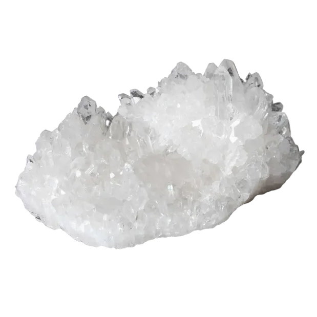 orbitvu|type:image2d