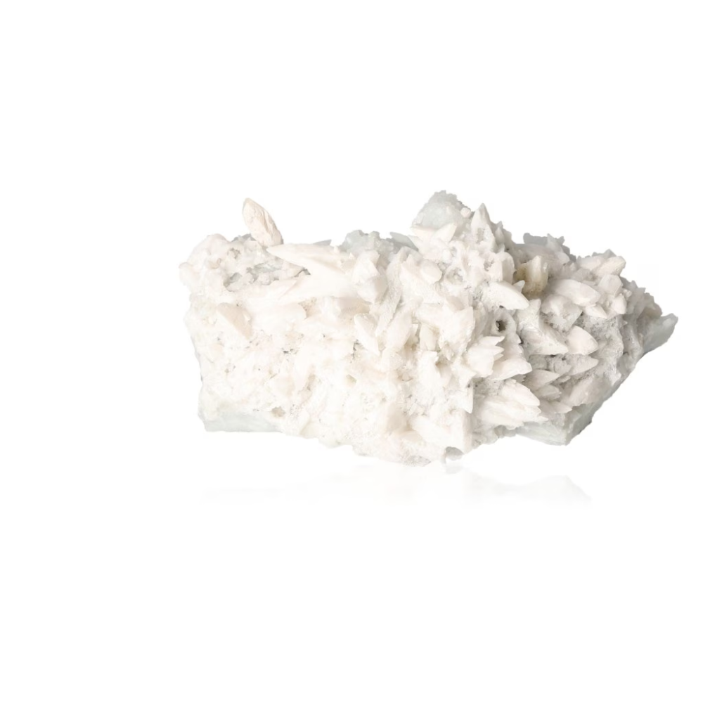 orbitvu|type:ORBITVU 360|https://orbitvu.co/share/pGMNZWHrhkoVCRrxJrBPf8/6324704/360/iframe