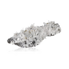 orbitvu|type:ORBITVU 360|https://orbitvu.co/share/YnwMSM4oUbM6KzDMf67xgZ/6326405/360/iframe