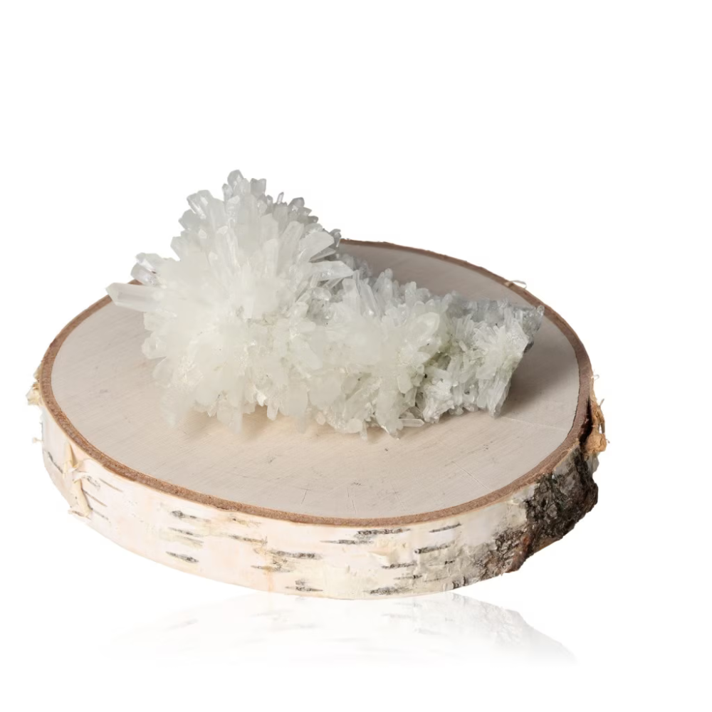 orbitvu|type:ORBITVU 360|https://orbitvu.co/share/YLqCKXXALqhQBwmoc34AX4/6458752/360/iframe