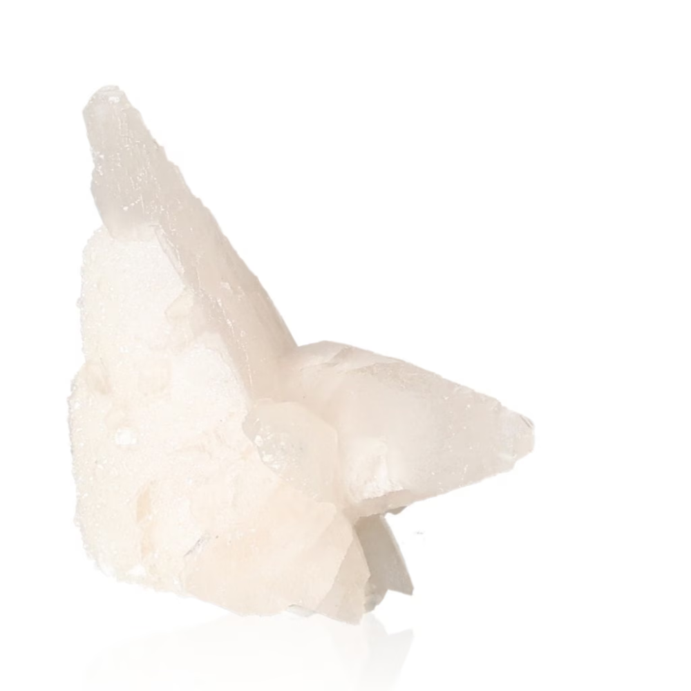 orbitvu|type:ORBITVU 360|https://orbitvu.co/share/rQkkU6di4NjwKLESpXmVsZ/6325977/360/iframe
