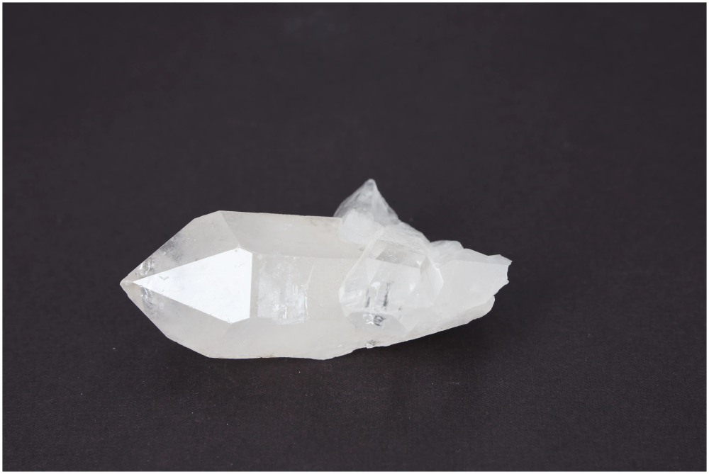 orbitvu|type:image2d