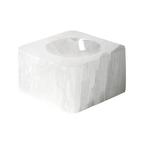 orbitvu|type:image2d