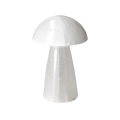 orbitvu|type:image2d