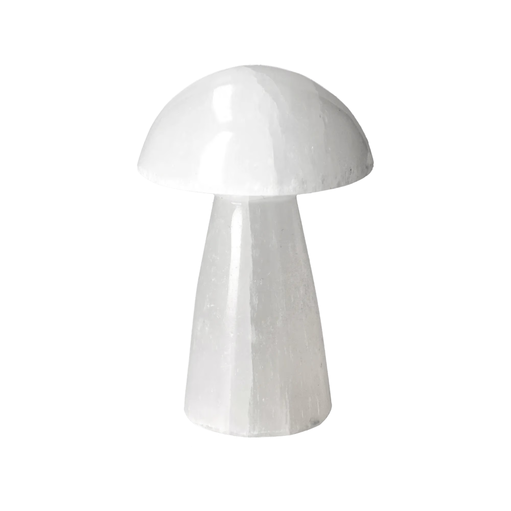 orbitvu|type:image2d