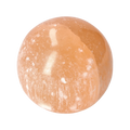 orbitvu|type:image2d