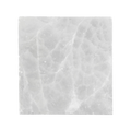 orbitvu|type:image2d