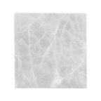 orbitvu|type:image2d