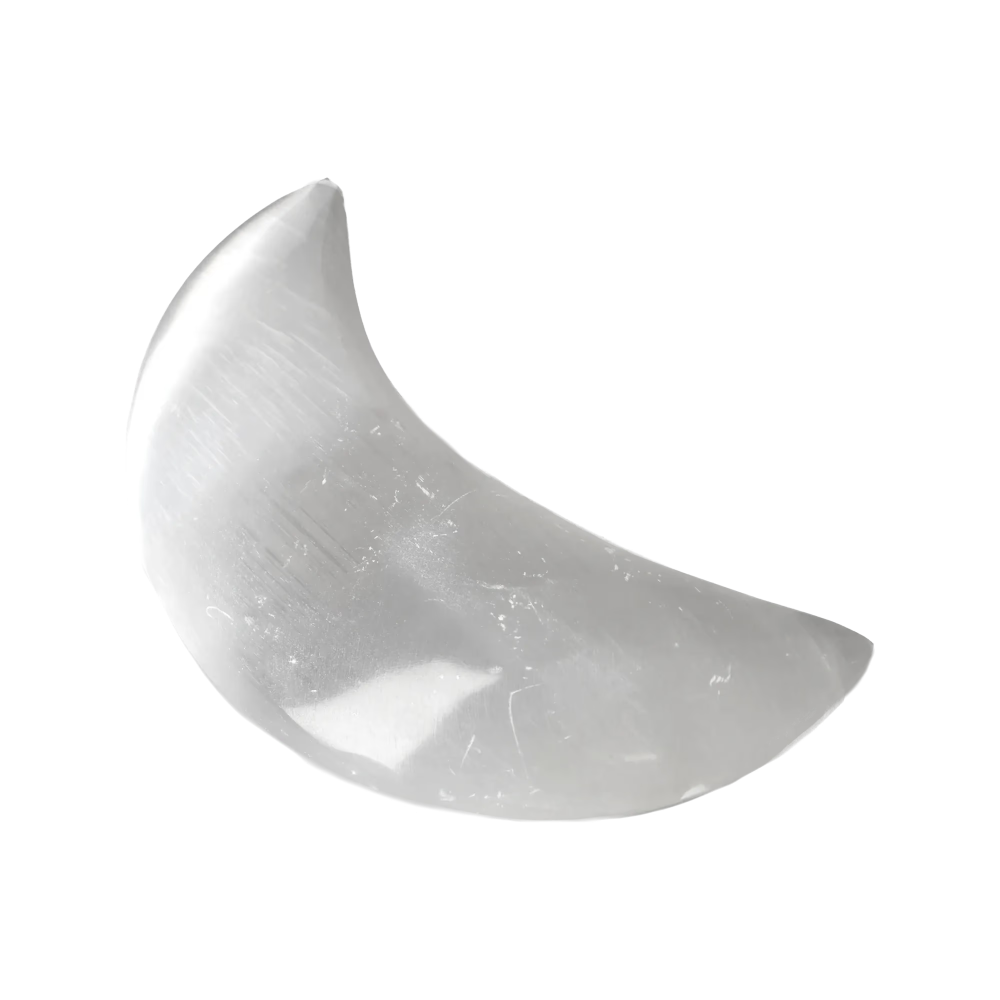 orbitvu|type:image2d