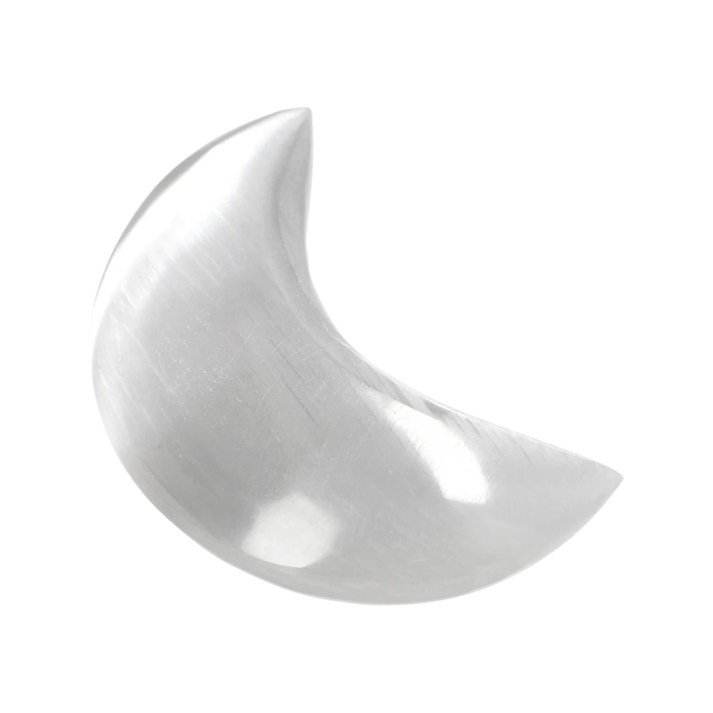 orbitvu|type:image2d