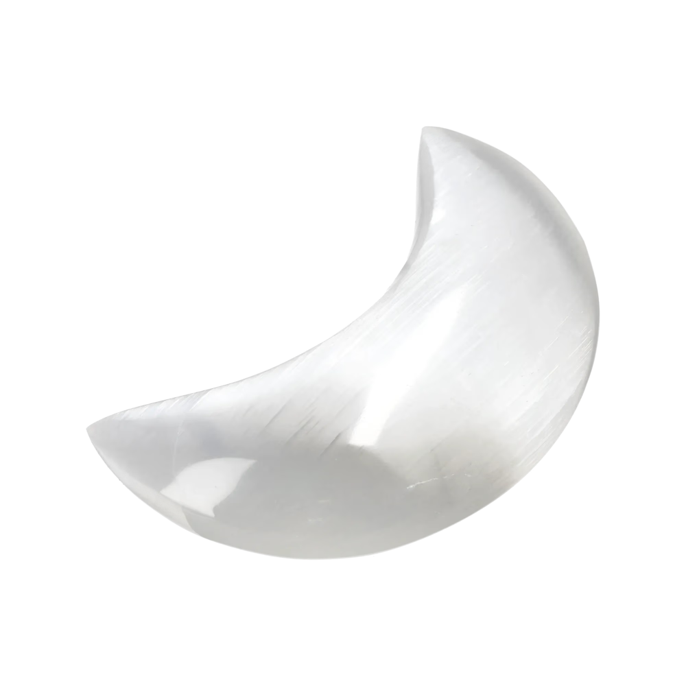 orbitvu|type:image2d