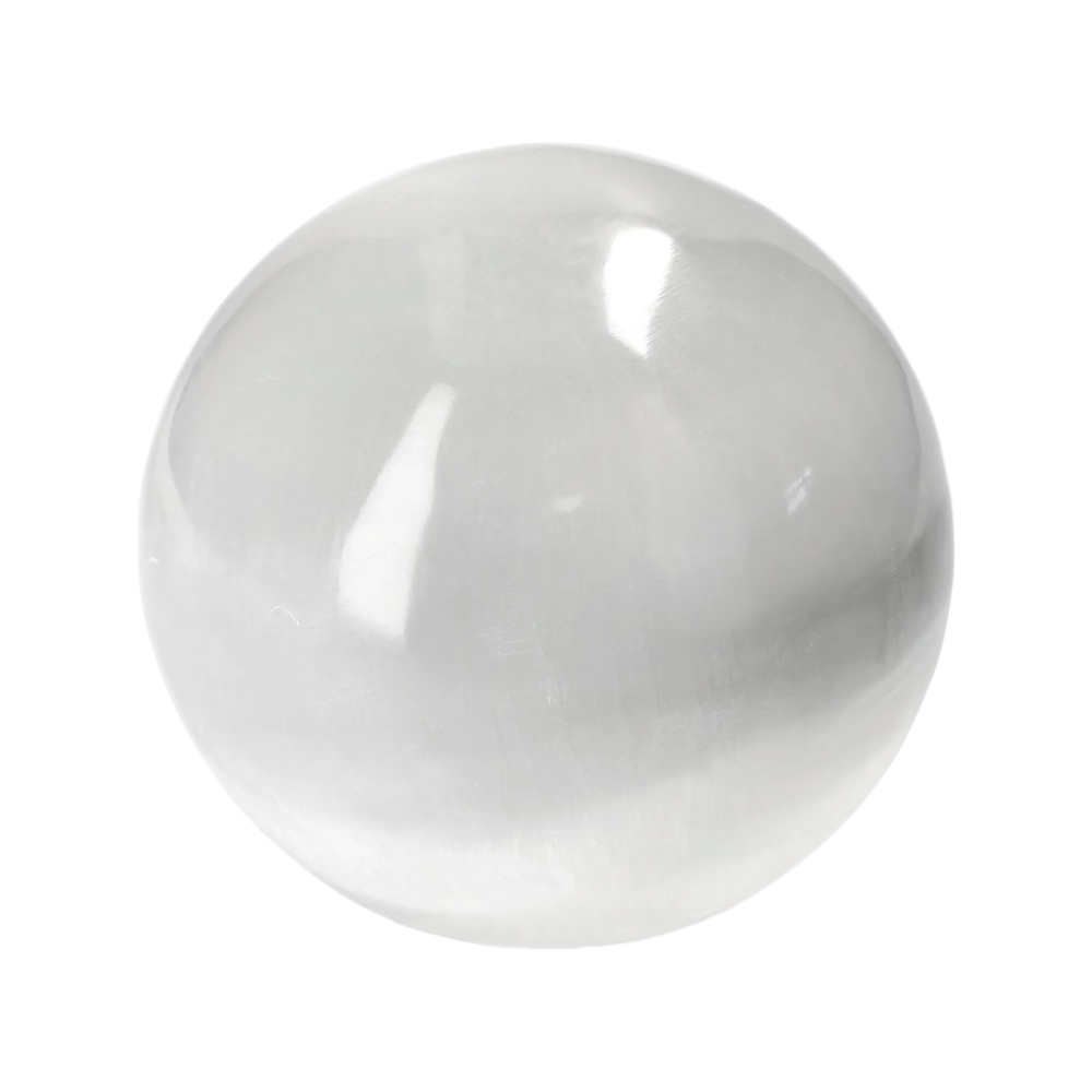orbitvu|type:image2d