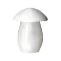 orbitvu|type:image2d