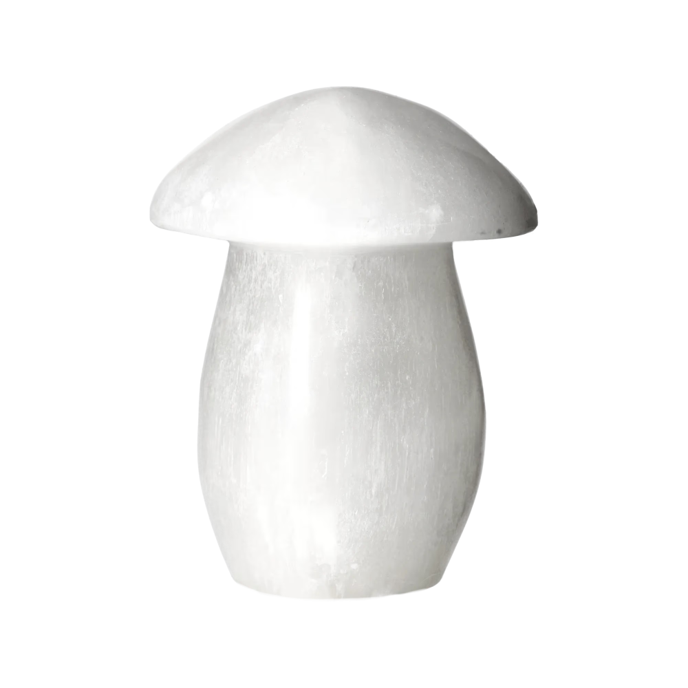 orbitvu|type:image2d