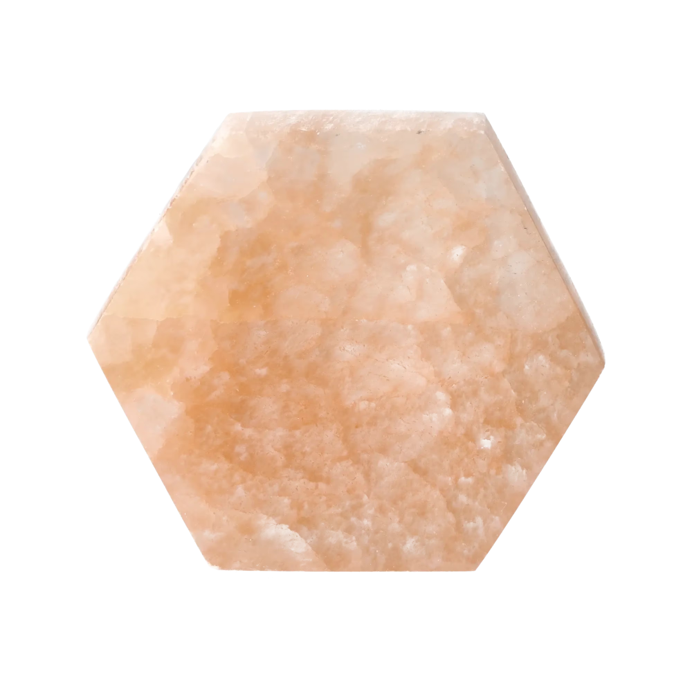 orbitvu|type:image2d