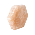 orbitvu|type:image2d