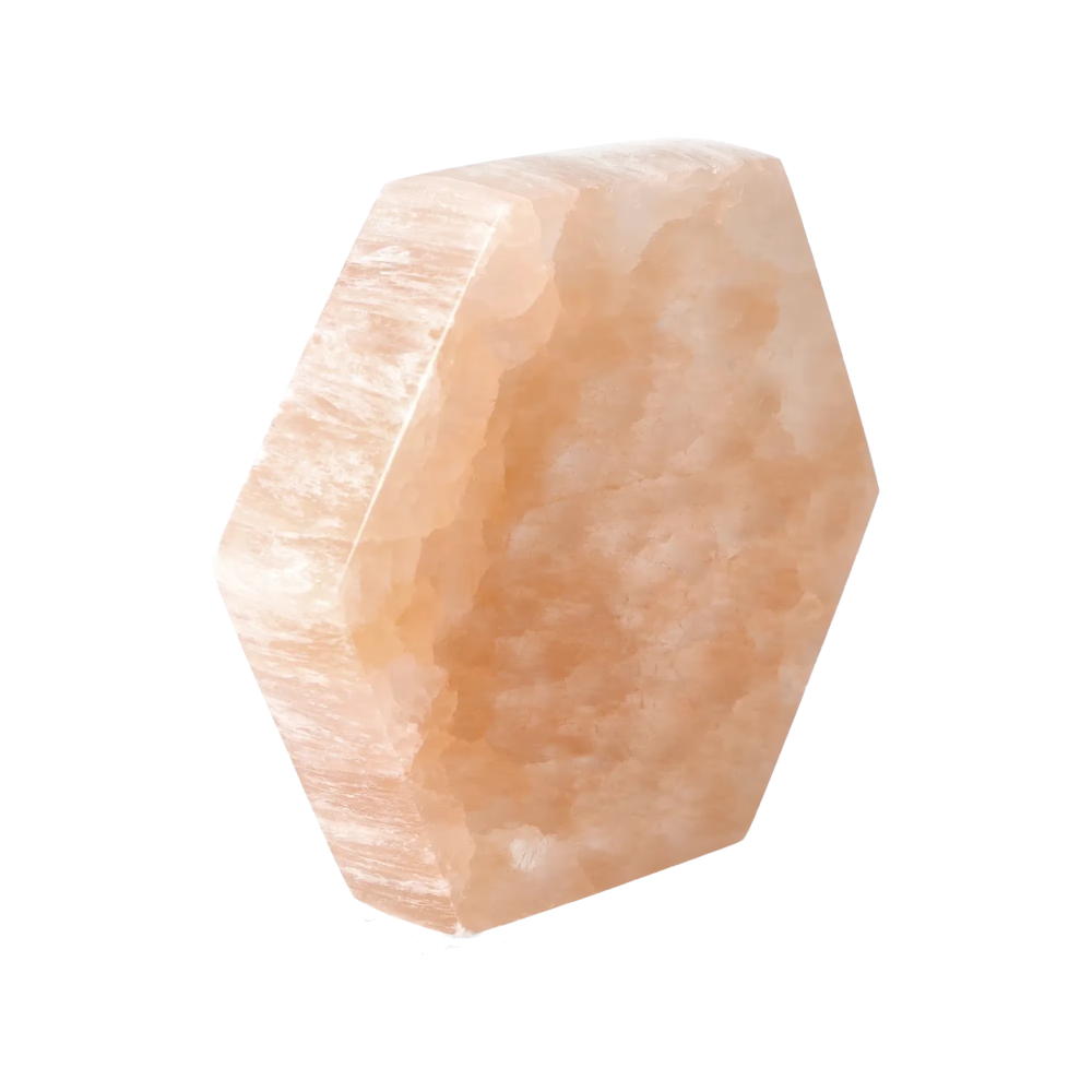 orbitvu|type:image2d