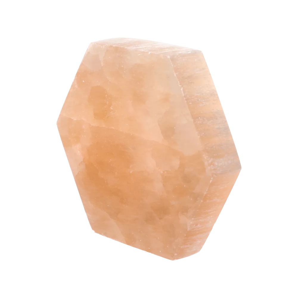 orbitvu|type:image2d