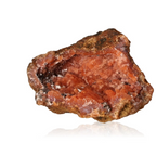 orbitvu|type:ORBITVU 360|https://orbitvu.co/share/jVyrRDtCGhcN3jfEU6vUMY/6392187/360/iframe