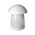 orbitvu|type:image2d
