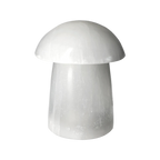 orbitvu|type:image2d