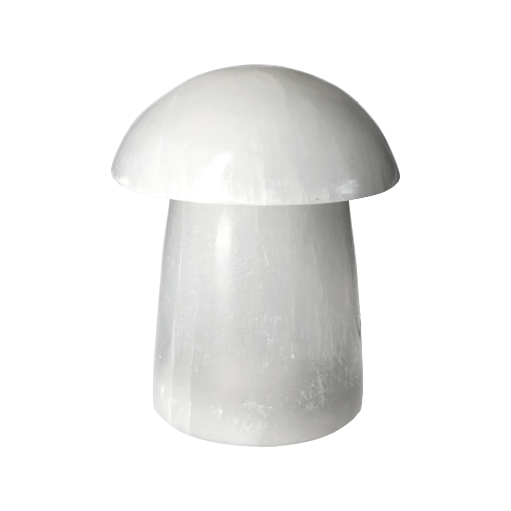 orbitvu|type:image2d