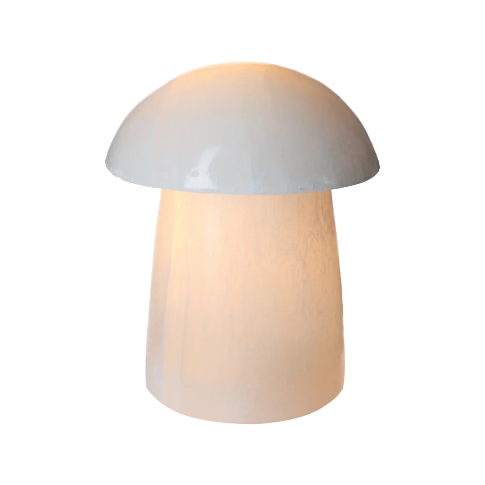 orbitvu|type:image2d