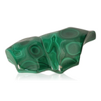 orbitvu|type:ORBITVU 360|https://orbitvu.co/share/Aa2XDgXBVYzxQed9BuvpTF/6424417/360/iframe