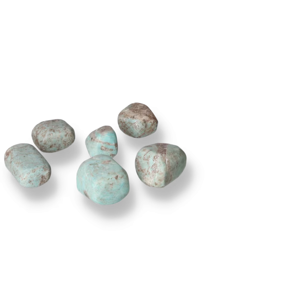 orbitvu|type:ORBITVU 360|https://orbitvu.co/share/WW3r9otDaaVcbFYuprG4Tm/6469263/360/iframe