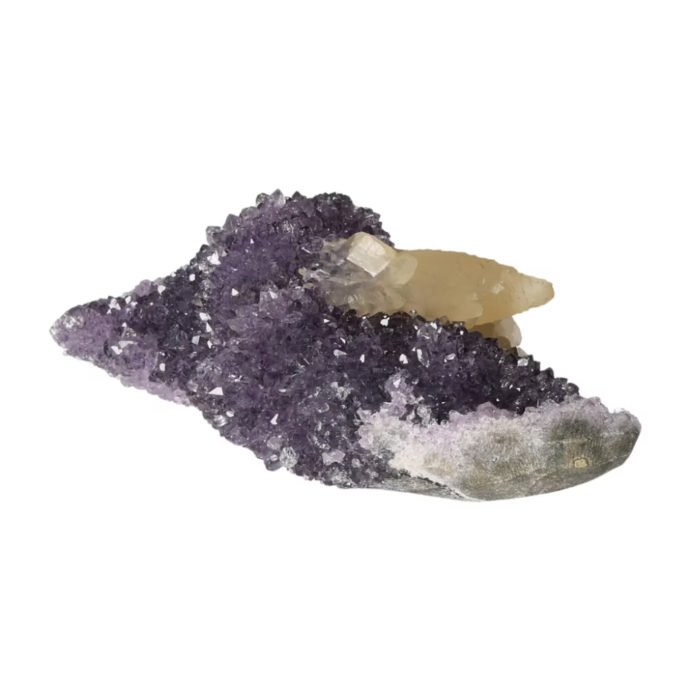 orbitvu|type:ORBITVU 360|https://orbitvu.co/share/8TV3LRnYyHDp4TtWajfwgQ/6490339/360/iframe