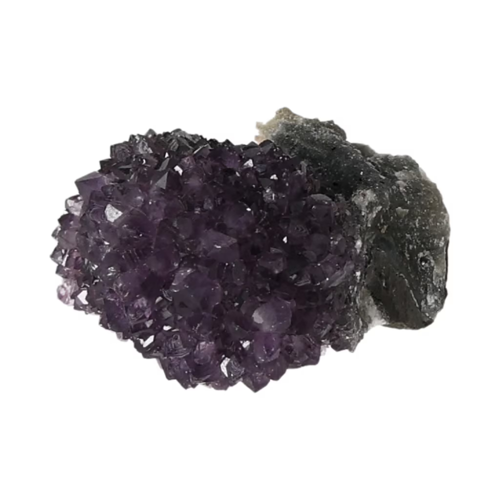 orbitvu|type:ORBITVU 360|https://orbitvu.co/share/Spa9FHZJTVNHxxVTm7iLYj/6490825/360/iframe
