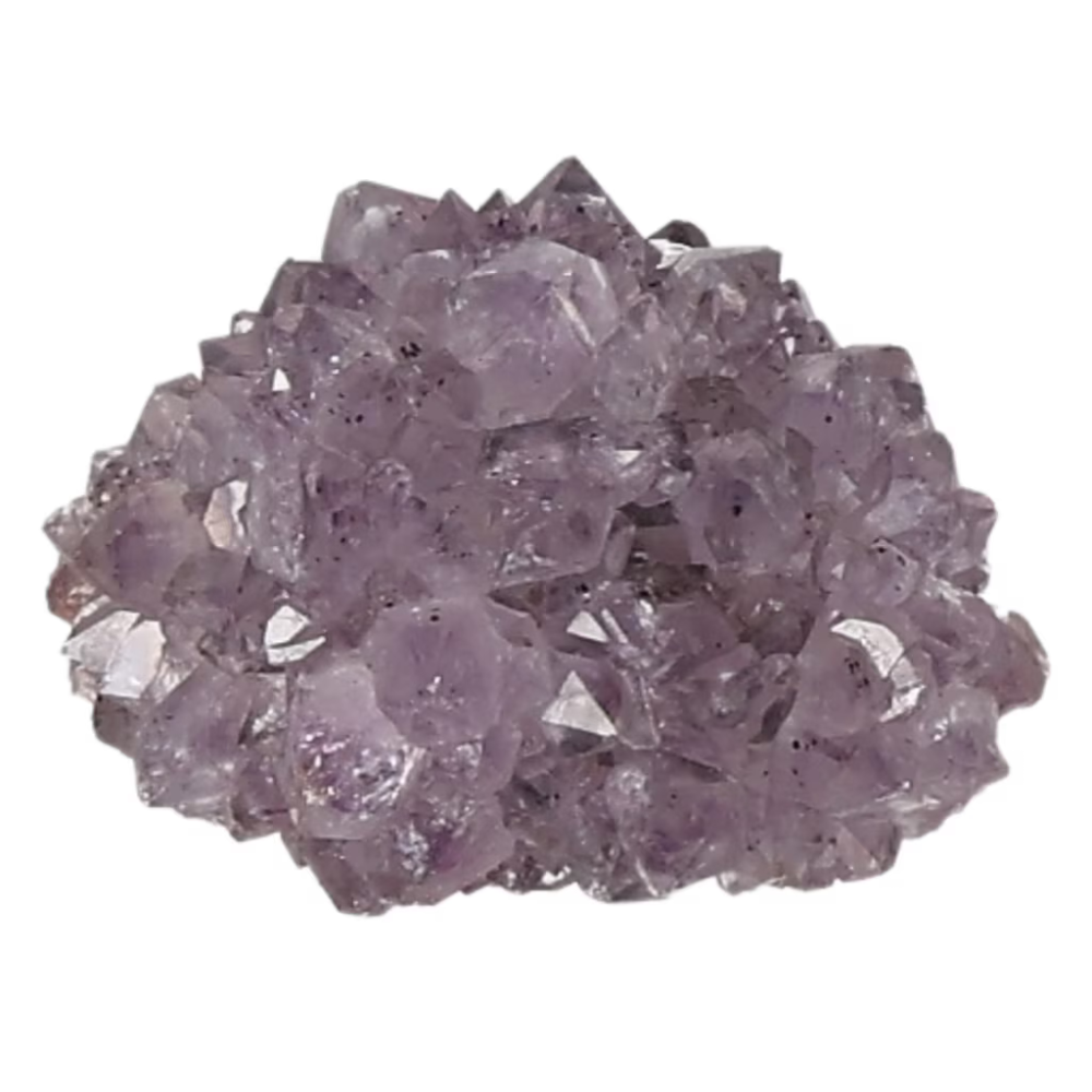 orbitvu|type:ORBITVU 360|https://orbitvu.co/share/75tx9BonWHHNsBD5gYiKSe/6490915/360/iframe
