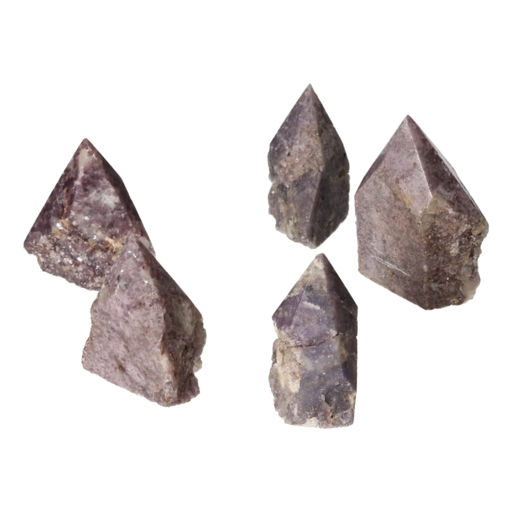 orbitvu|type:ORBITVU 360|https://orbitvu.co/share/YzqCf7hnHwpc4KusWwGyEZ/6513288/360/iframe