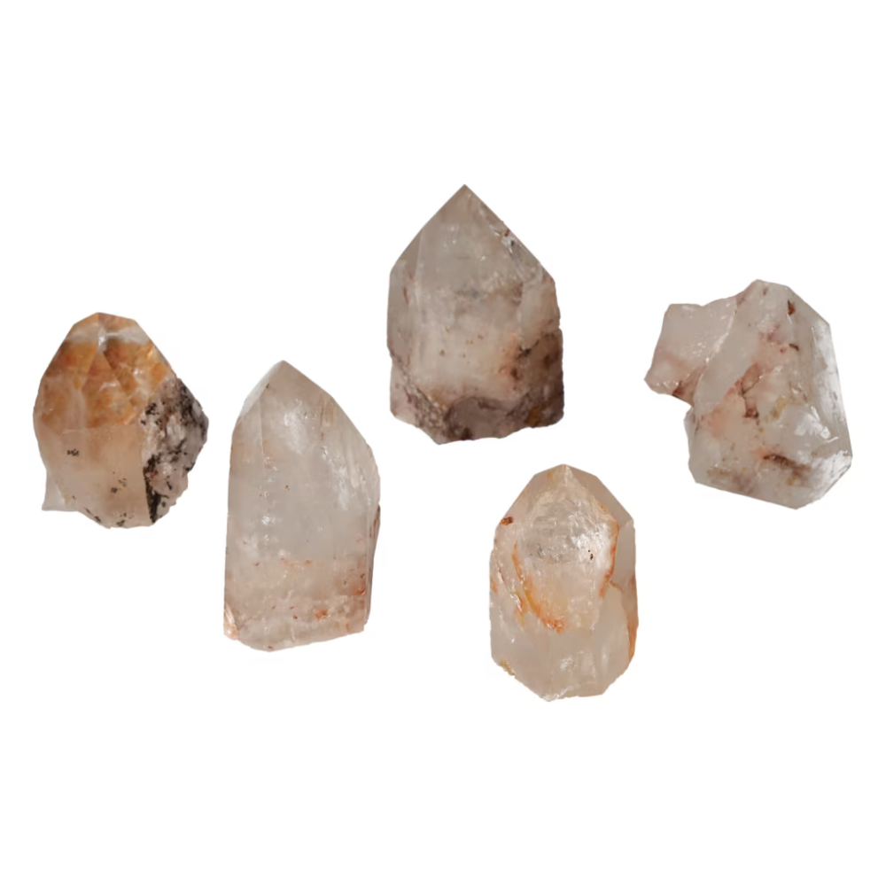 orbitvu|type:ORBITVU 360|https://orbitvu.co/share/v3SgoEnETJweiAJn3ksqNf/6513459/360/iframe
