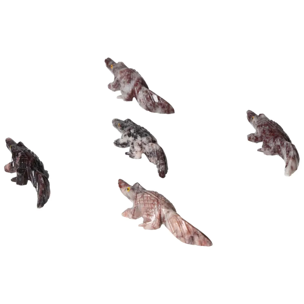 orbitvu|type:image2d
