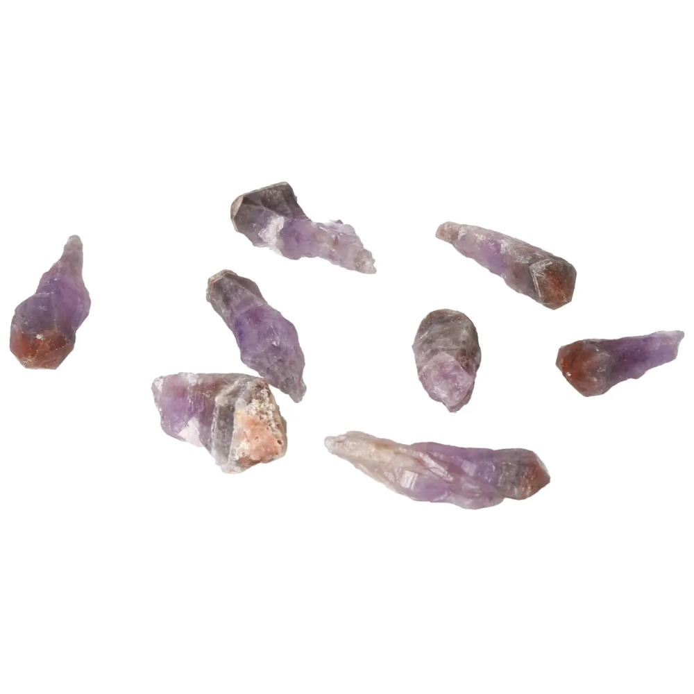 orbitvu|type:image2d