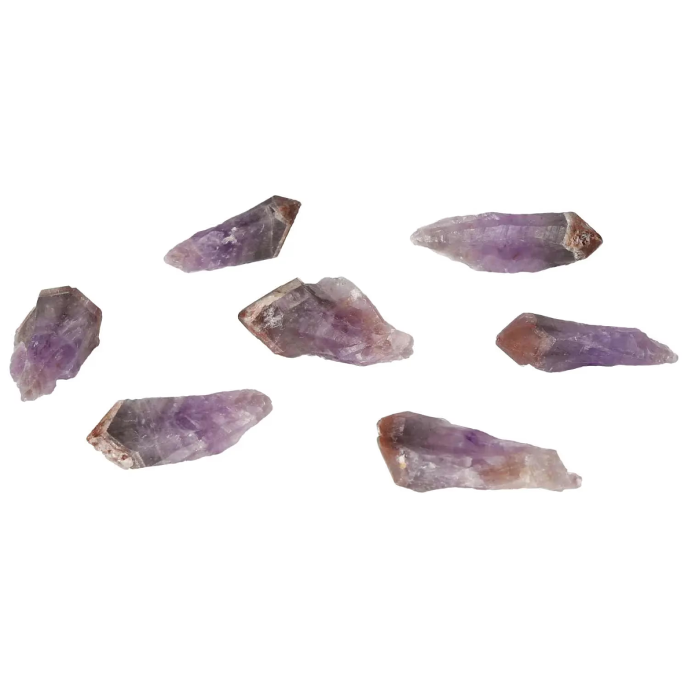 orbitvu|type:image2d