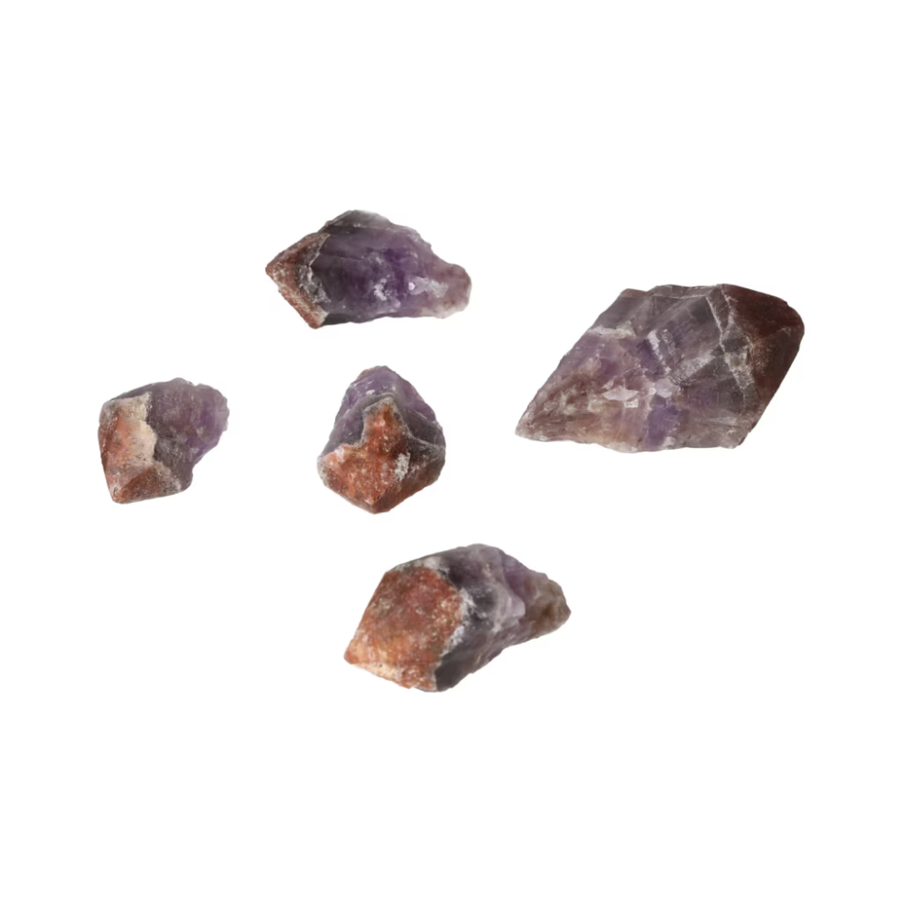 orbitvu|type:ORBITVU 360|https://orbitvu.co/share/TVbMCcRMHeBUkpz5Bt46mB/6523440/360/iframe