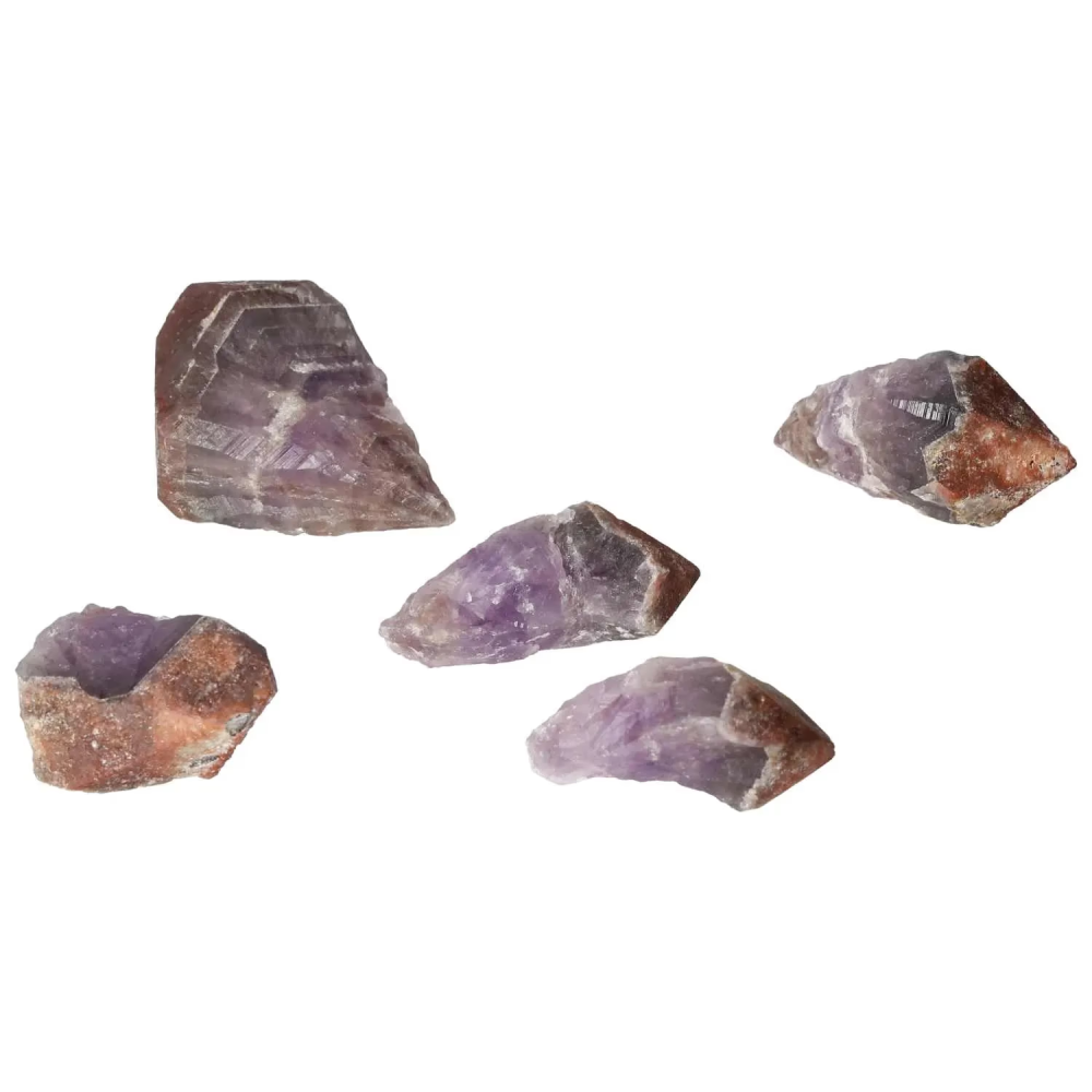 orbitvu|type:image2d