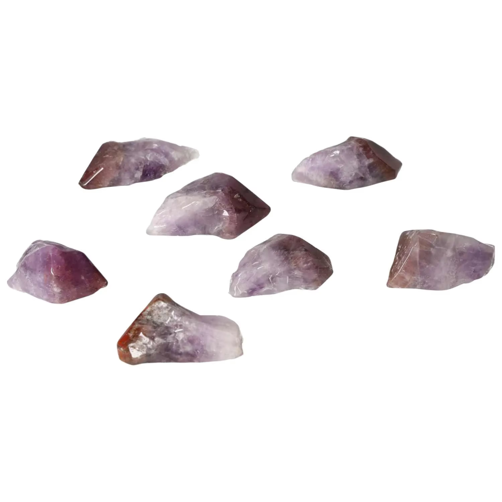 orbitvu|type:image2d