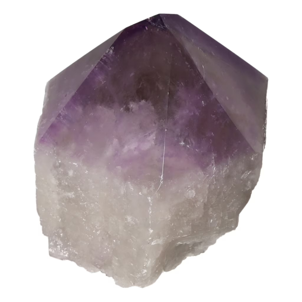 orbitvu|type:ORBITVU 360|https://orbitvu.co/share/MAXP9ZRfQTynKrLc6Y4u2E/6526365/360/iframe