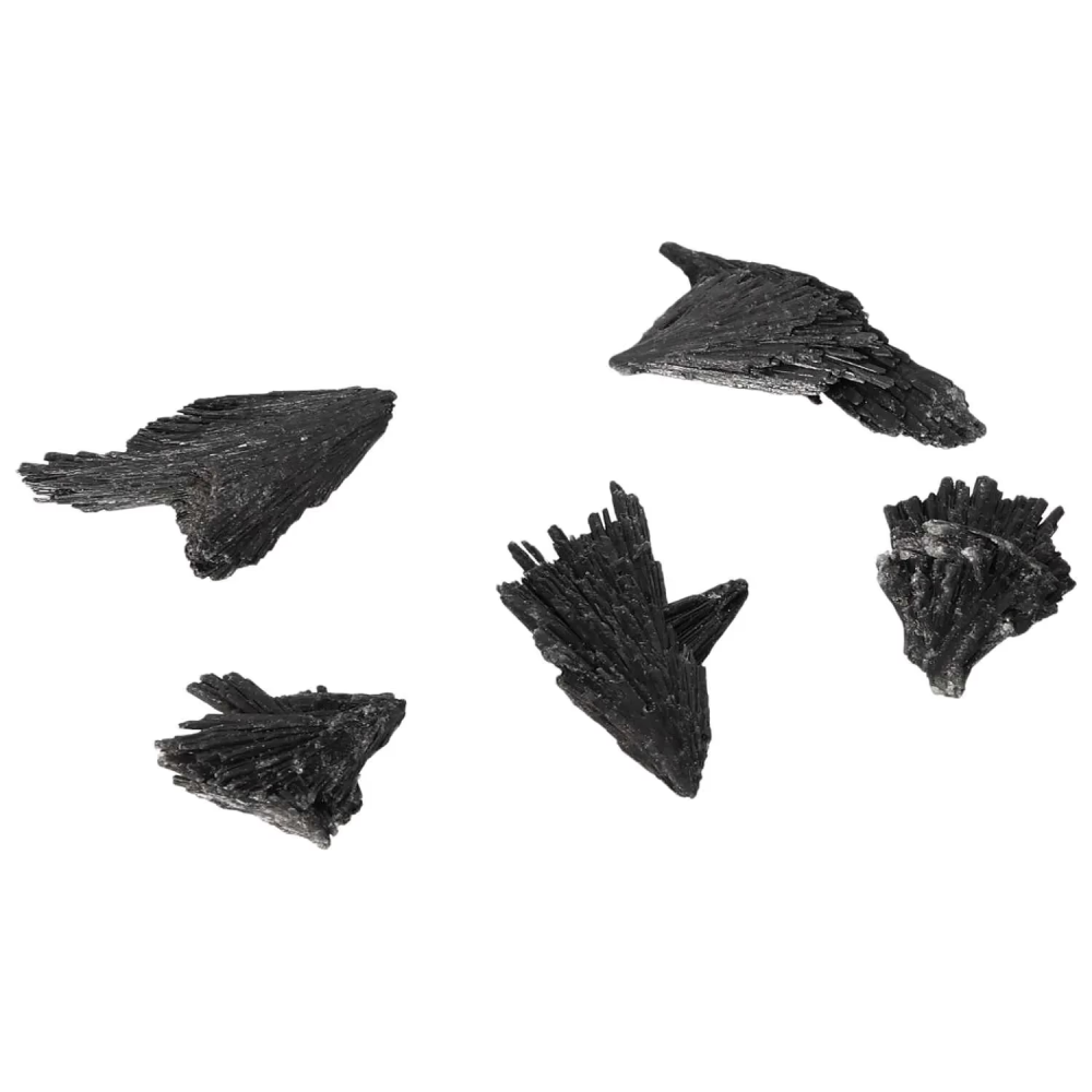 orbitvu|type:image2d