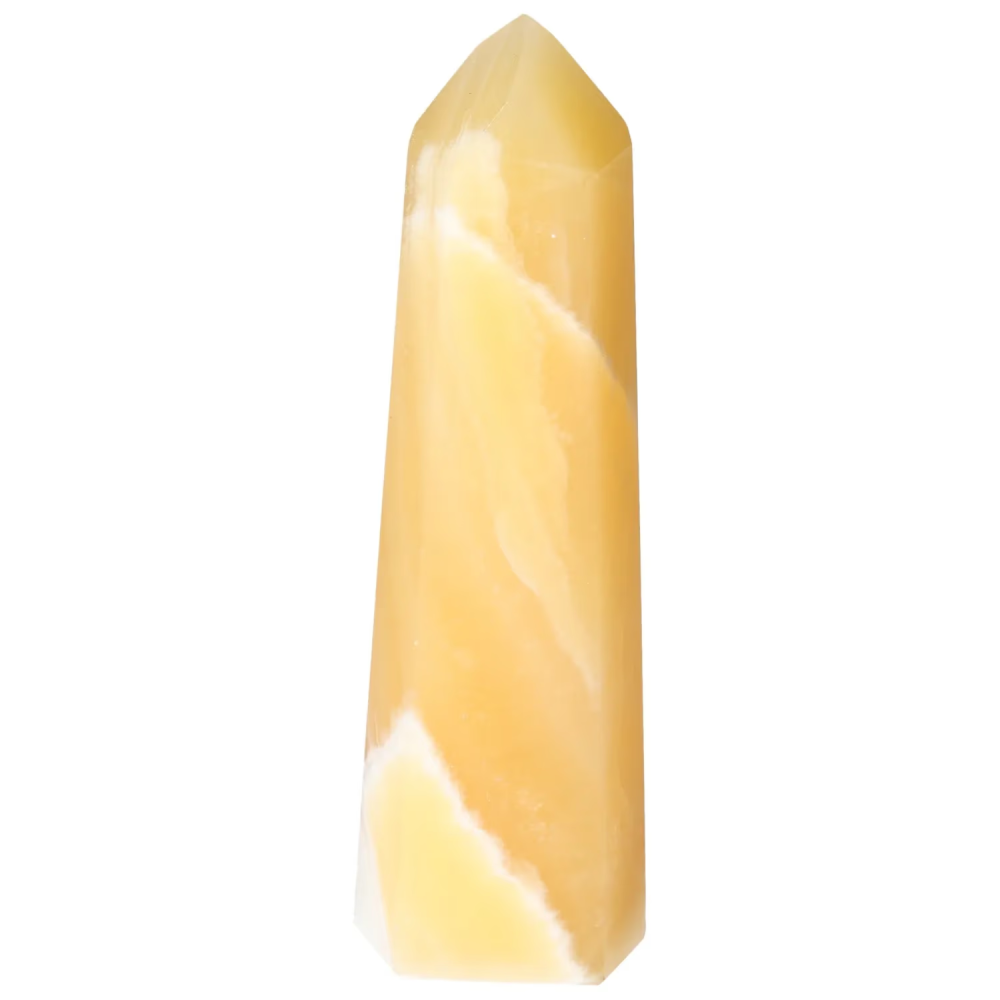 orbitvu|type:image2d