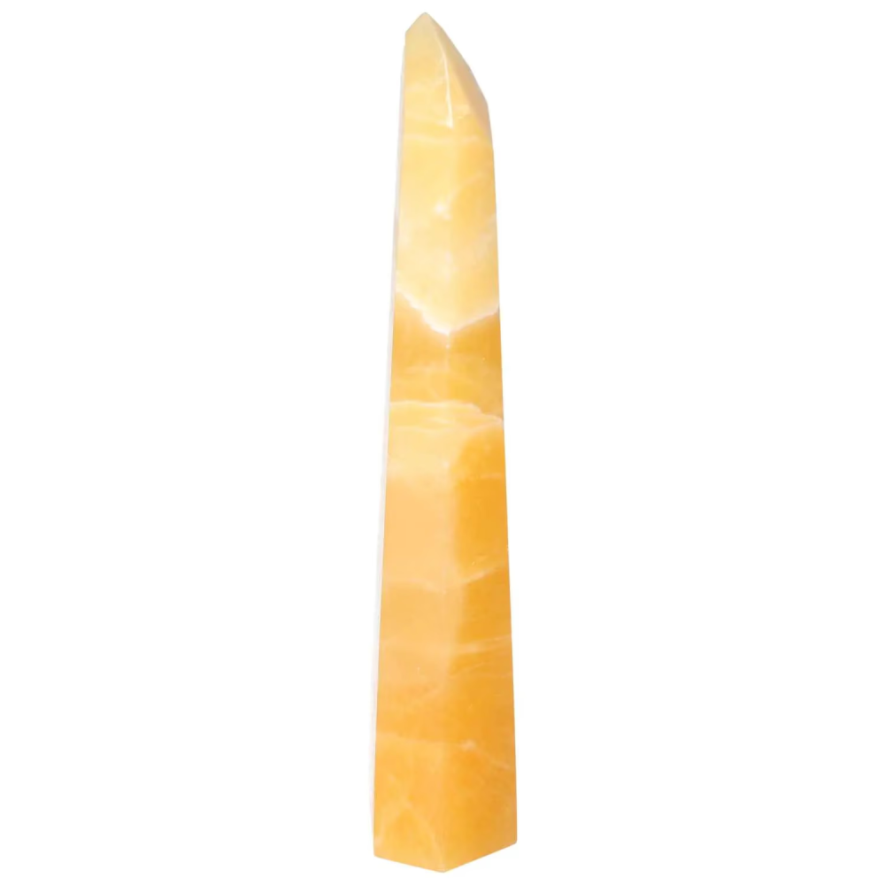 orbitvu|type:image2d