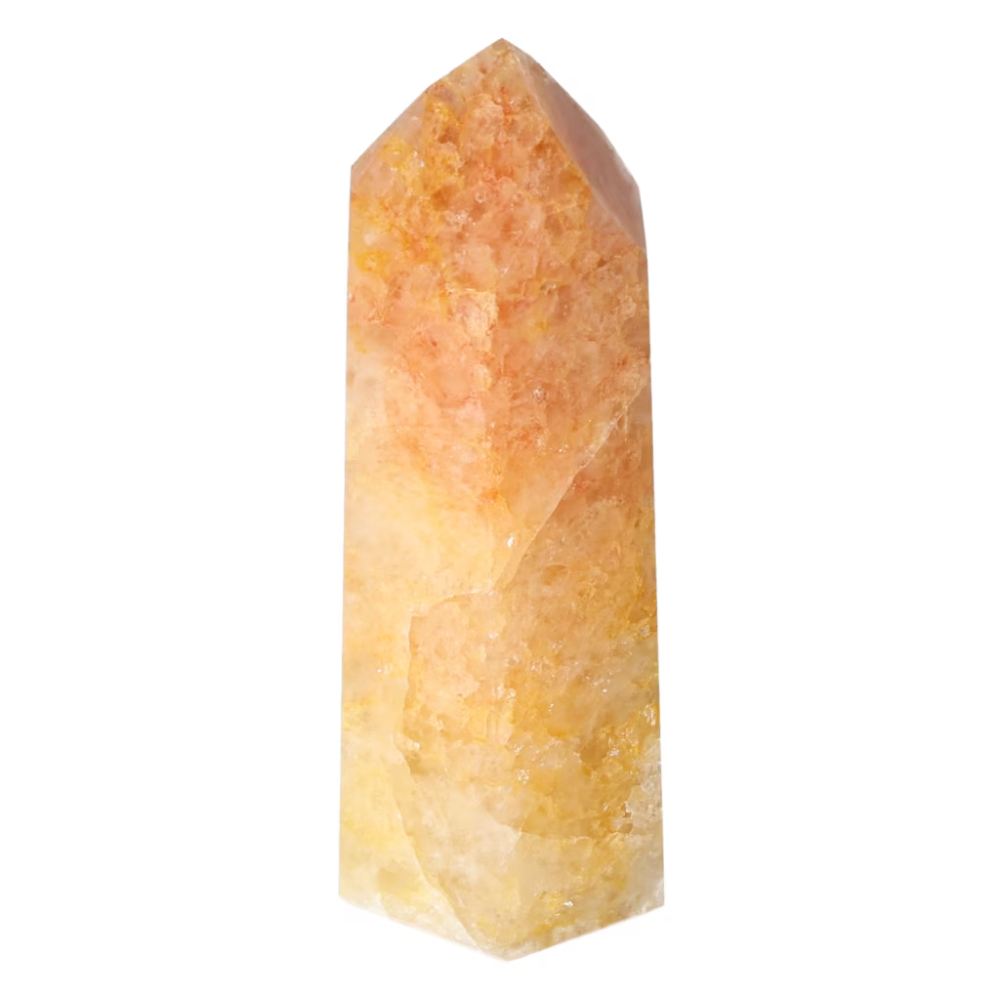 orbitvu|type:ORBITVU 360|https://orbitvu.co/share/8BVFNDS6MPeJribfvF92Tk/6533572/360/iframe