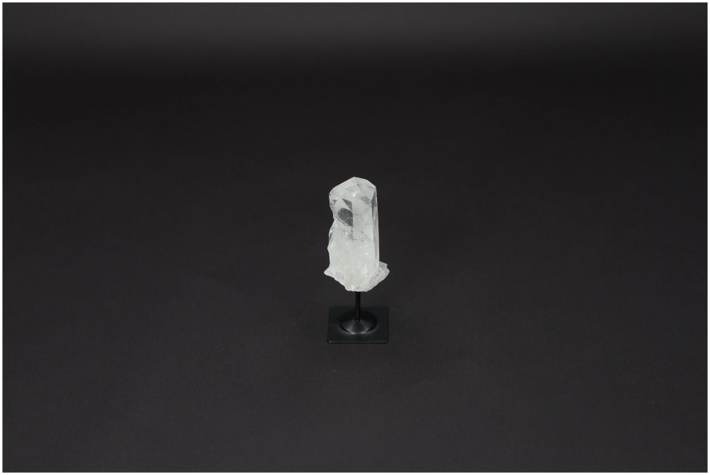 orbitvu|type:image2d